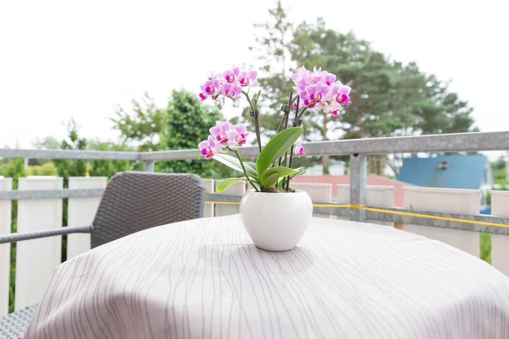 Hotel Garni Am Deich Zingst Room photo