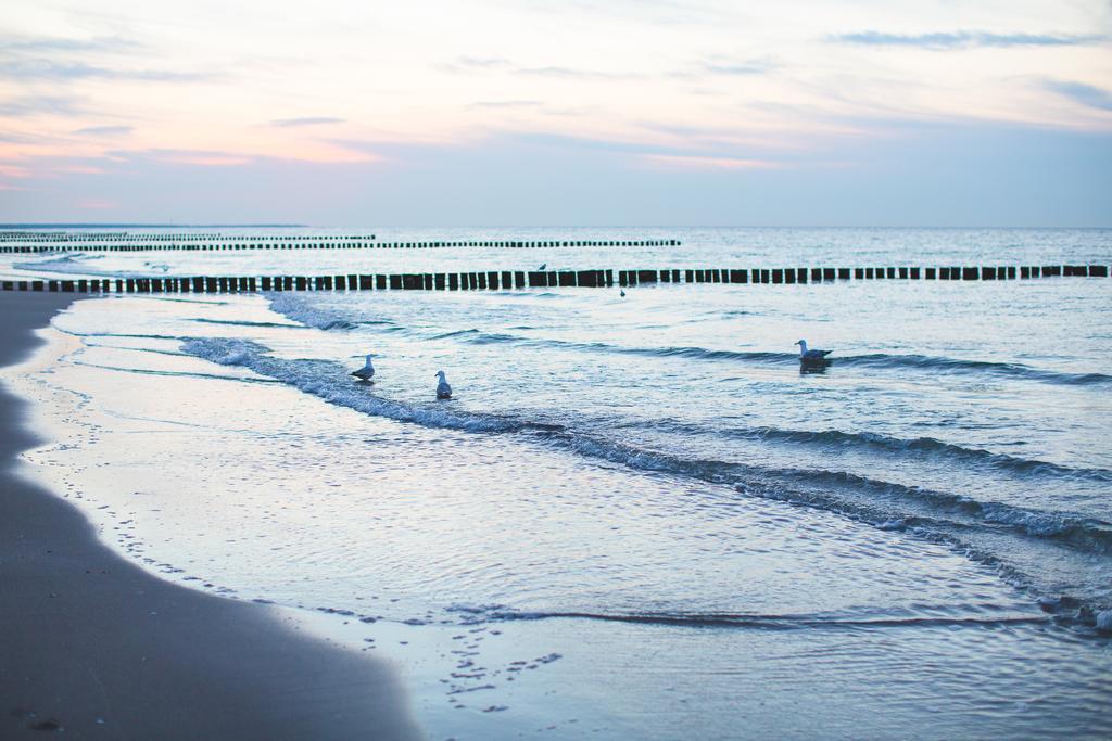 Hotel Garni Am Deich Zingst Exterior photo